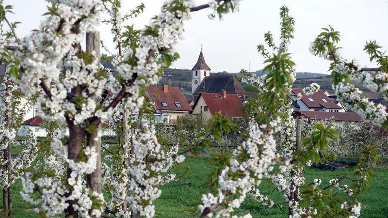 Ferienwohnung Fliegerhorst Endingen am Kaiserstuhl Exterior foto